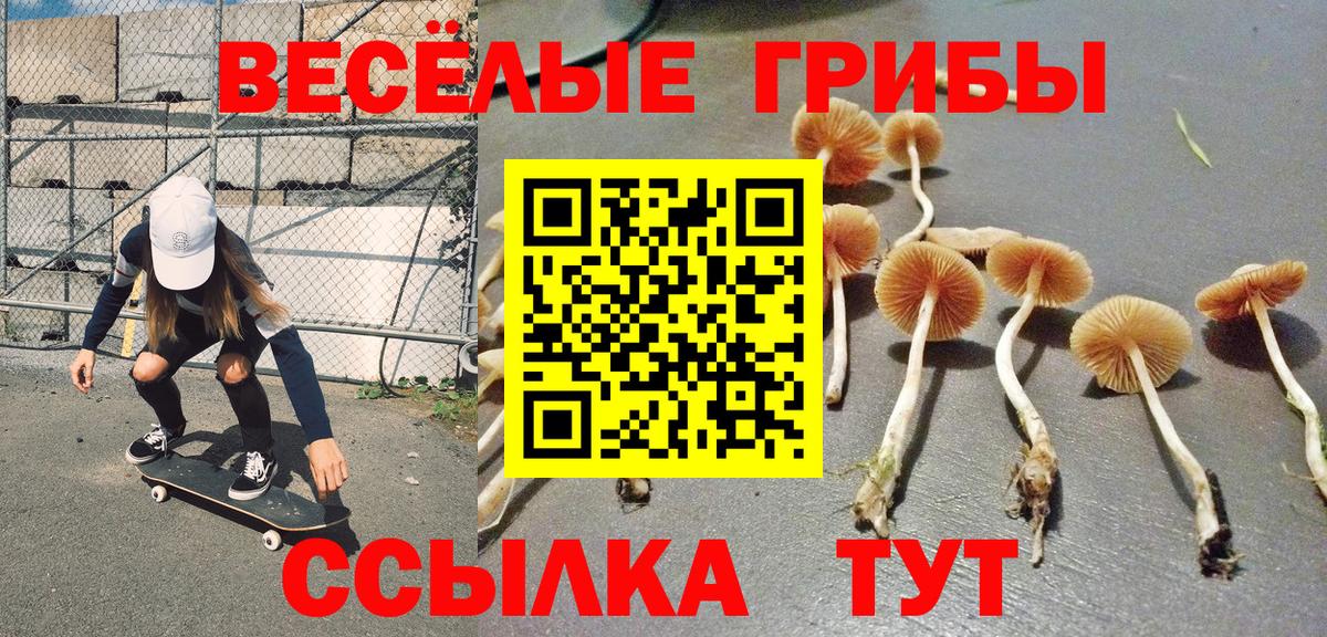Таганрог  Галлюциногенные грибы мухоморы  Вход с VPN 
