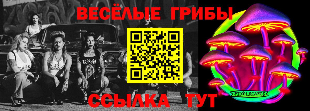 Псилоцибиновые грибы мицелий Таганрог